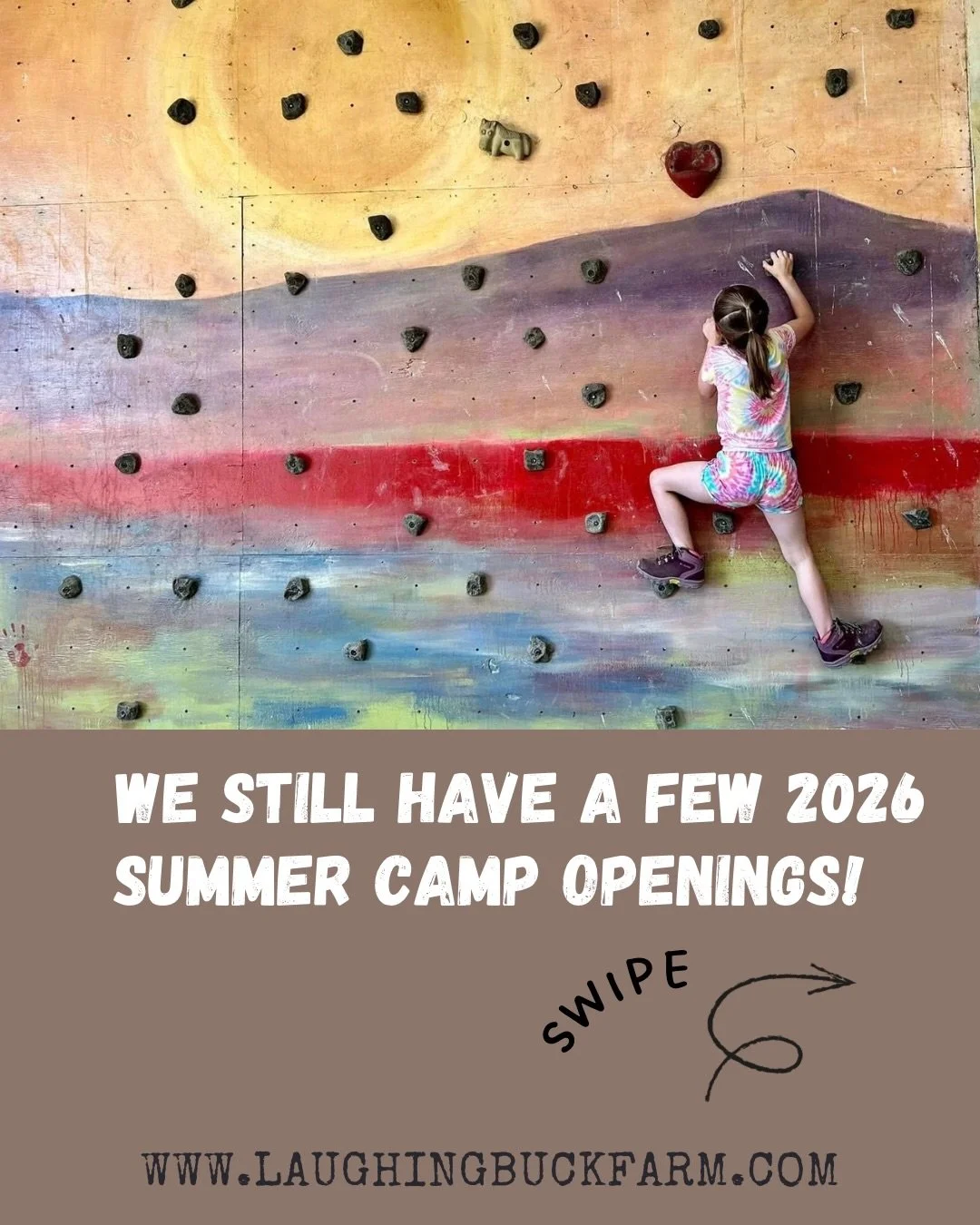☀️It&rsquo;s not too late to sign up for summer camps at LBF! ☀️

Many of  summer camps are officially sold out, but we still have a few openings available in:
 🤠Junior Homesteaders June 1, 2, 3, 5 (on sale, too!) 
 🐴Wednesday Junior Vet and Advanc