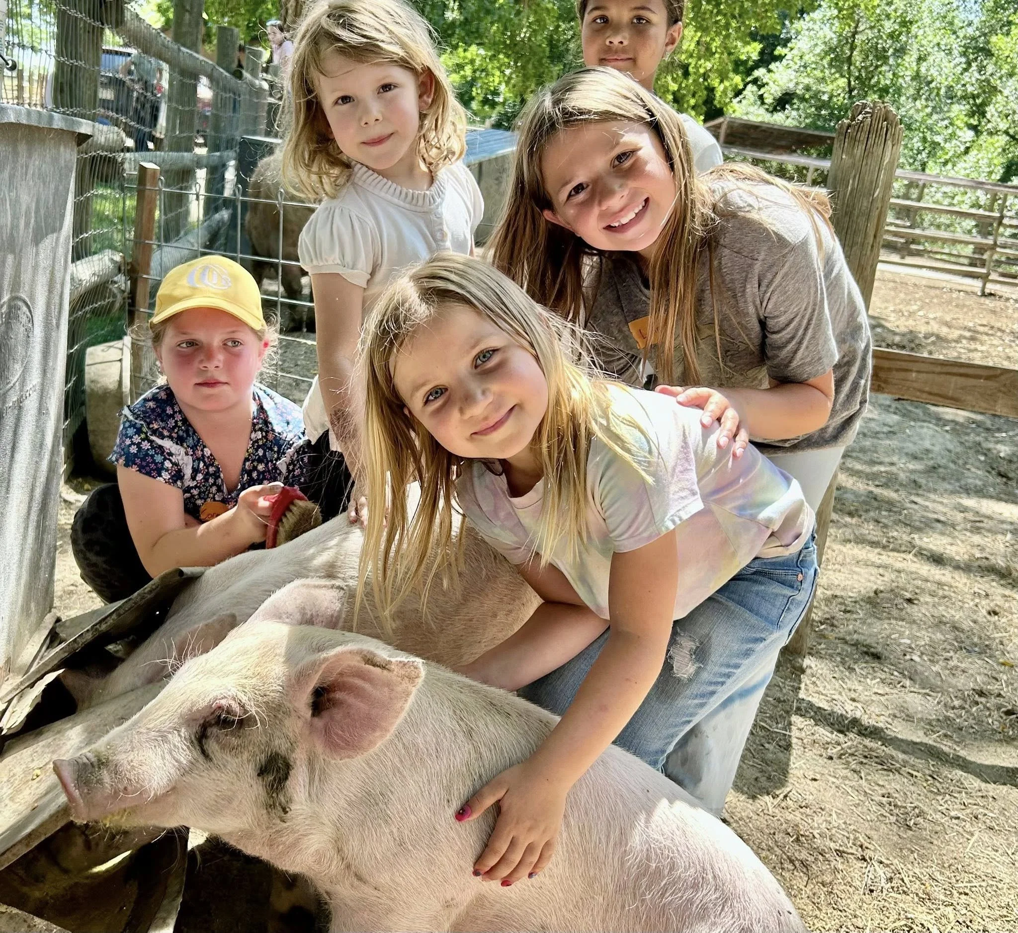 514020290_3090832034415673_6242318353023031119_n.jpg (Copy)