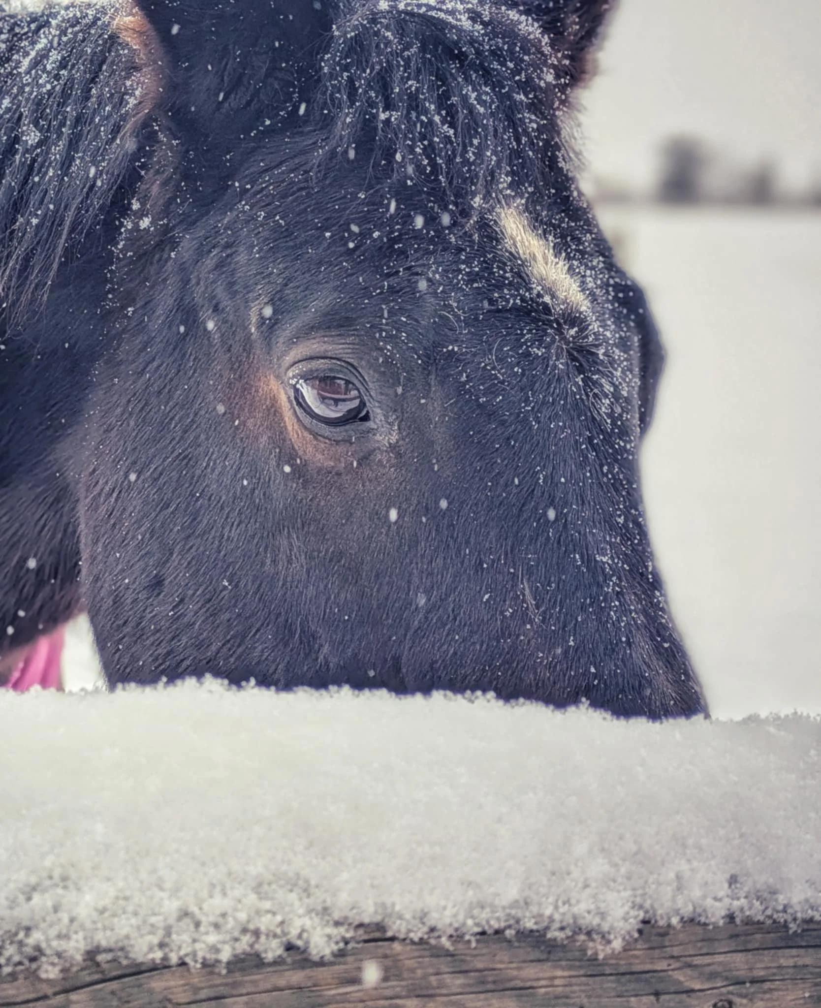 c15c0af0-8222-49a5-80c4-bb3f96b02d57.jfif