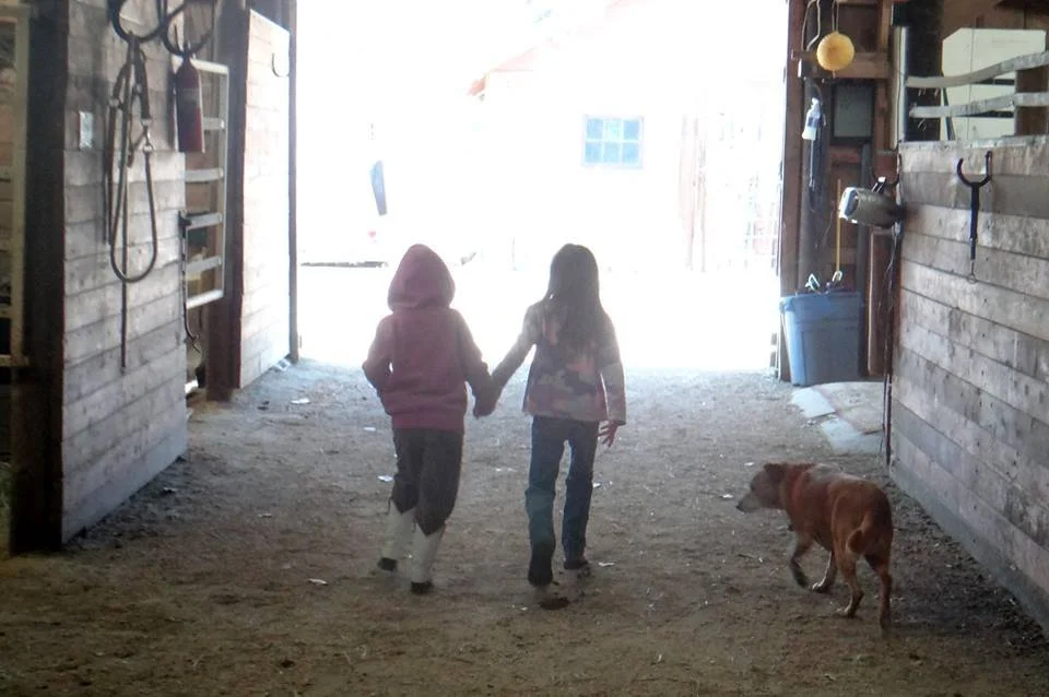 17991783_1603752636333737_1031376403895700554_n.jpg (Copy)