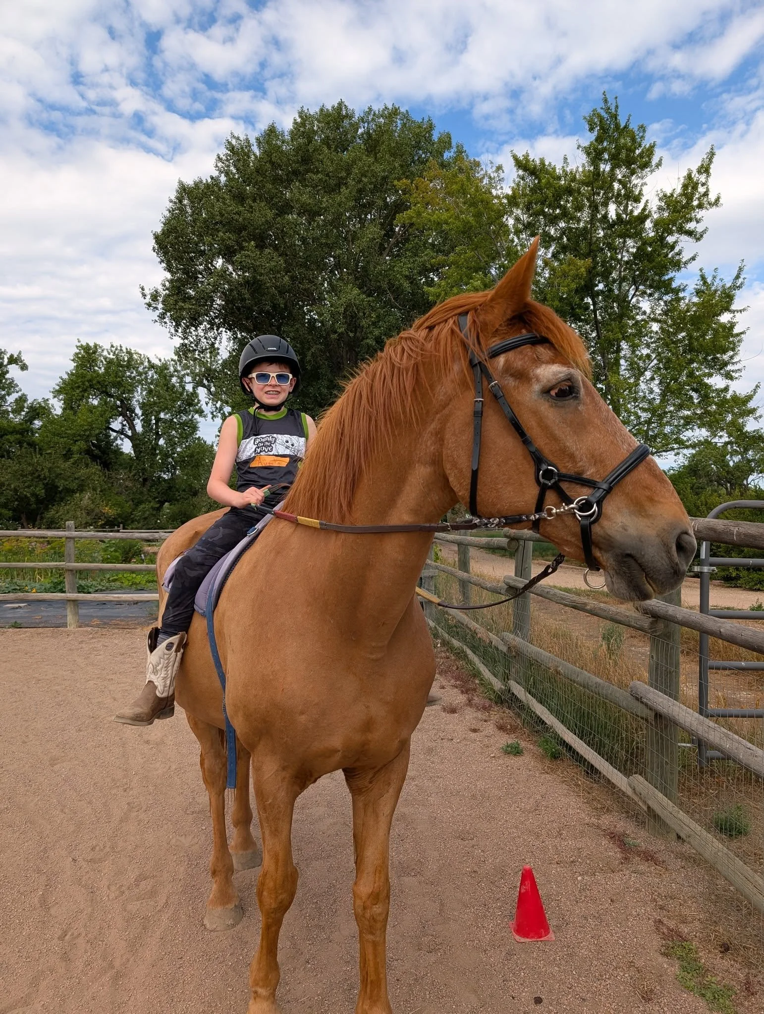 522800198_10234273476313134_7541748614120492718_n (1).jpg