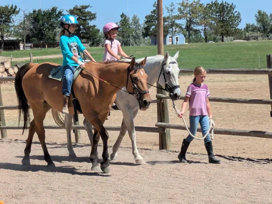 457268895-10229665784563720-1404044778694215-n_orig.jpg (Copy) (Copy)