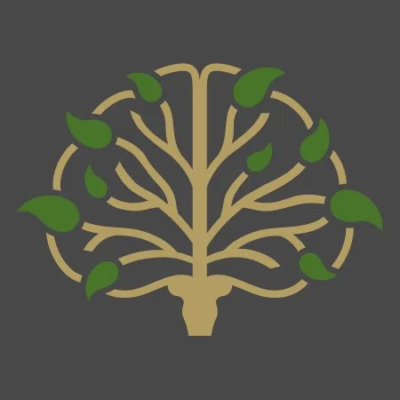 Stylized brain with green leaves and beige branches on a dark gray background.