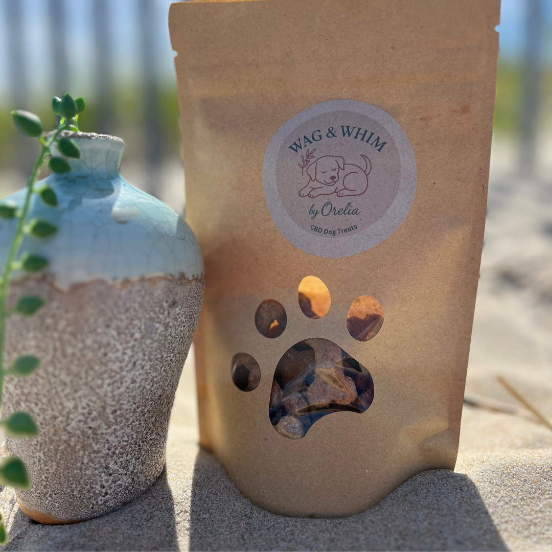 A kraft paper package labeled "Wag & Whim by Orelia CBD Dog Treats" stands on sand next to a ceramic vase with a small plant. The package has a paw-shaped window showing treats inside.