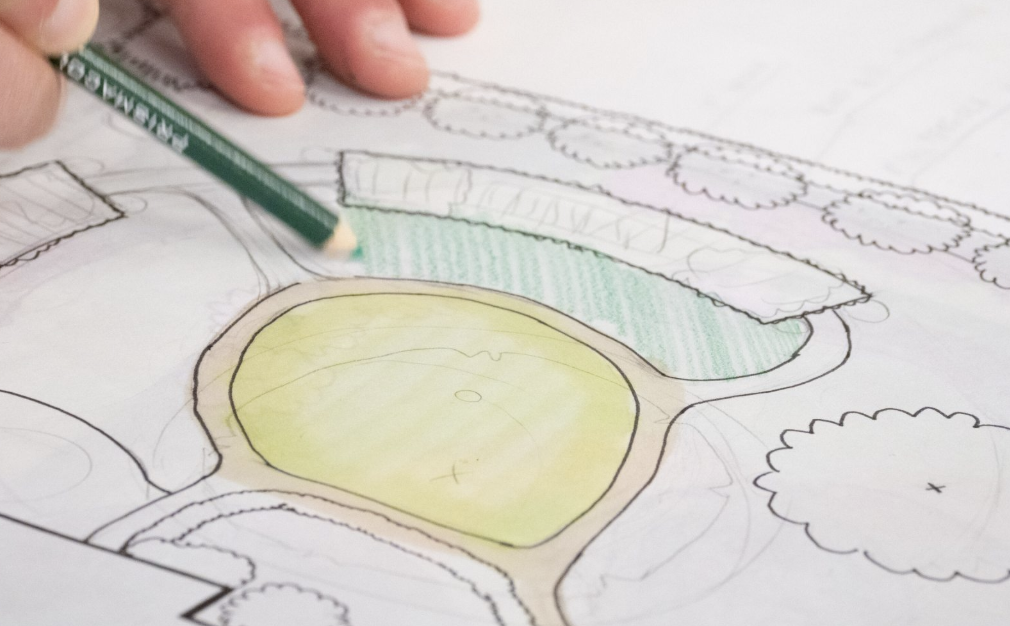 How to Create a Year-Round Native Garden in a Zone 7 Urban Environment