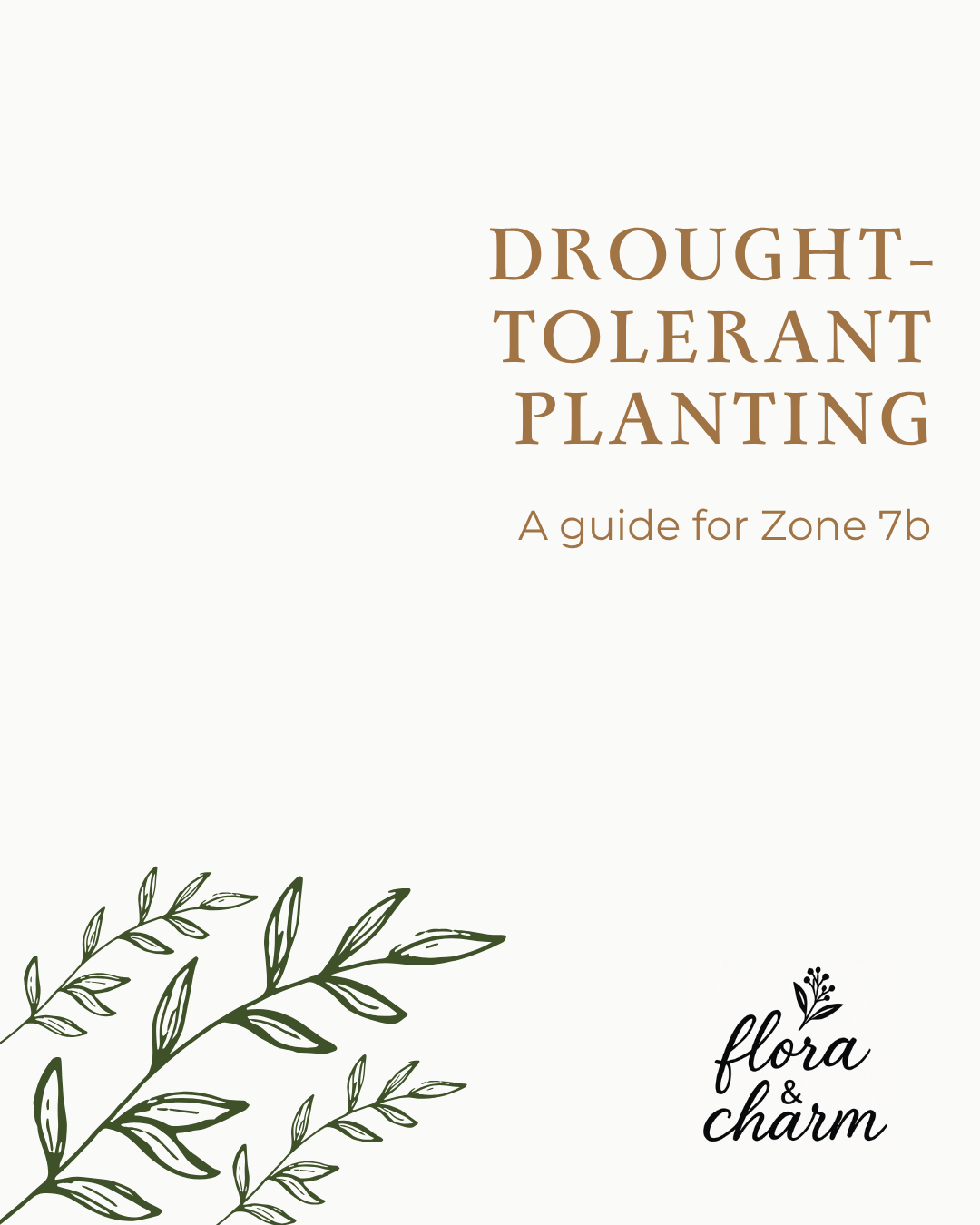 Why Drought-Tolerant Planting Matters in Urban Gardens