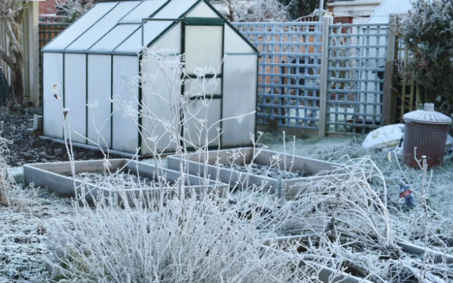 February Garden Project: Outdoor Seed-Starting Tips&nbsp;