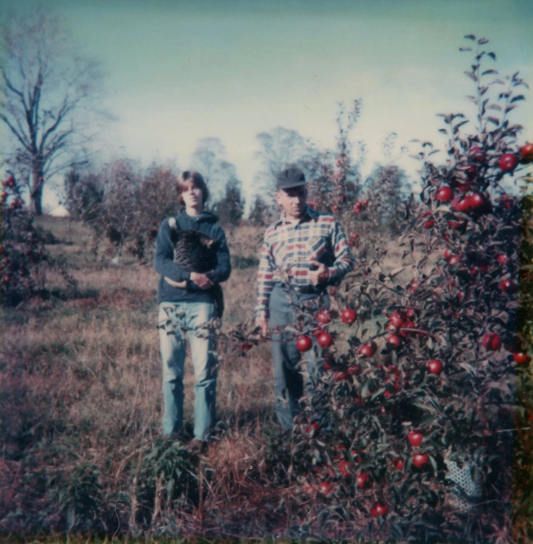 Two people in an orchard with fruit trees, one holding a chicken, and a bush of red apples in the foreground.