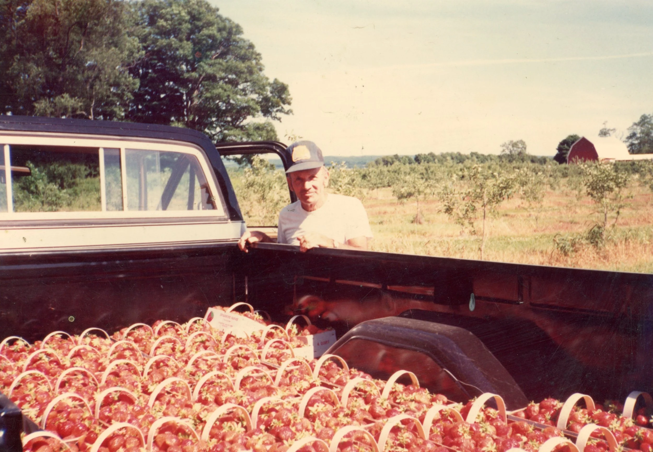 A man standing in the back of a pickup truck filled with baskets of strawberries on a farm.