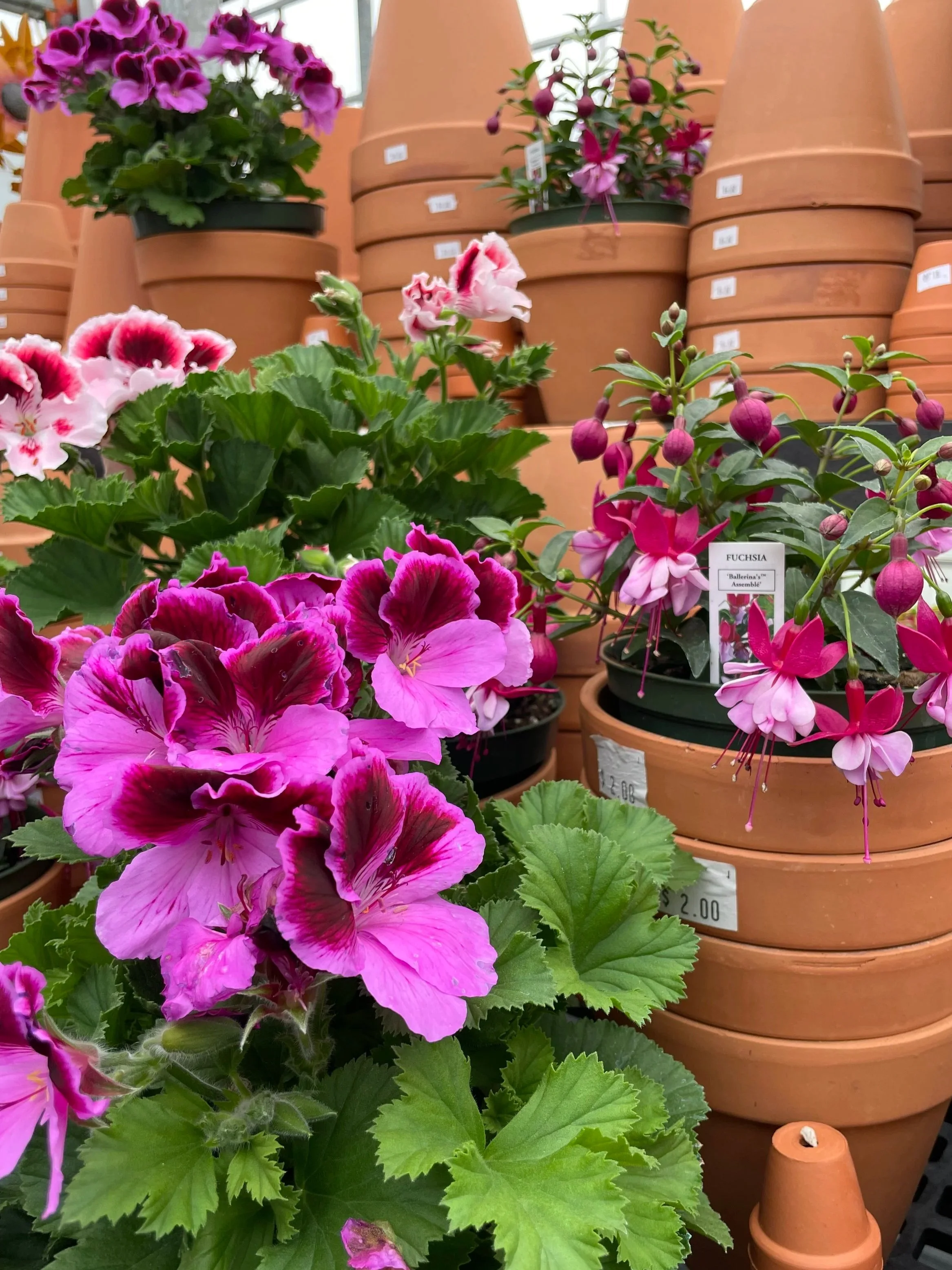 Pink and purple flowers in green pots stacked on terra cotta planters, with a background of more stacked planters in a garden center.