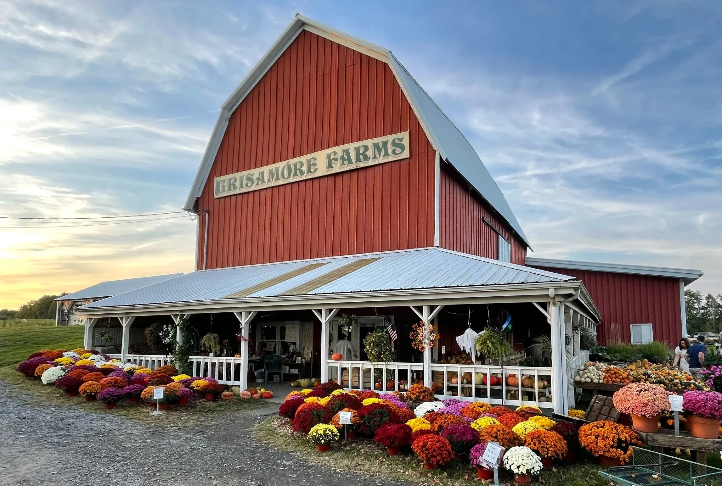 A red barn with a sign that reads 'Grisamore Farms', surrounded by colorful fall flowers and pumpkins, during sunset.