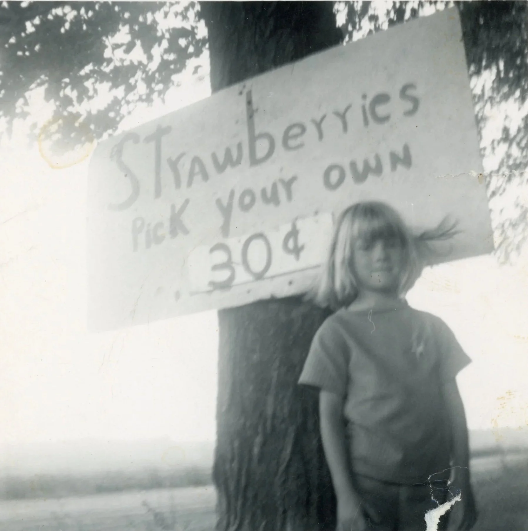 A young girl with shoulder-length hair standing next to a tree, with a hand-written sign on the tree that says 'Strawberries, pick your own, 30¢'.