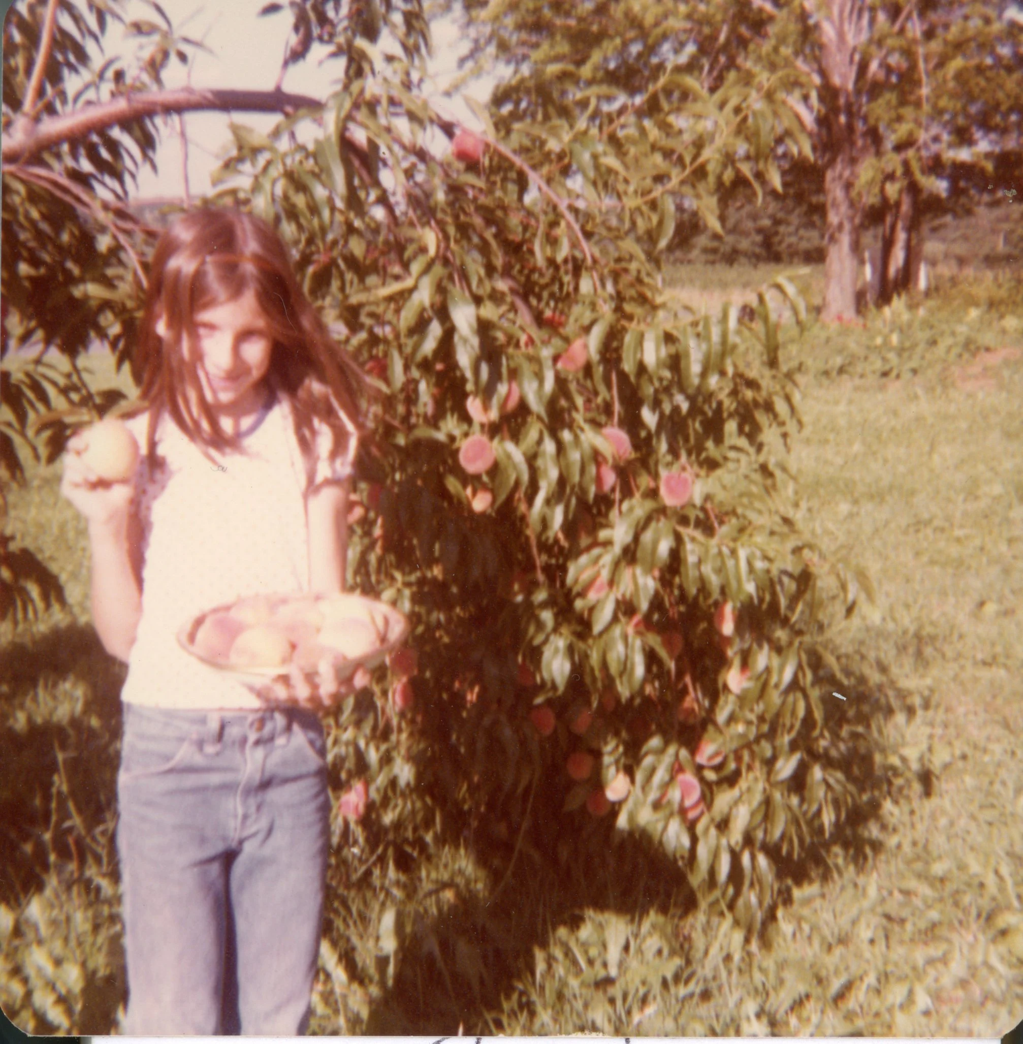 A young girl with brown hair smiling and holding a plate of peaches outdoors next to a peach tree with ripe peaches on its branches.