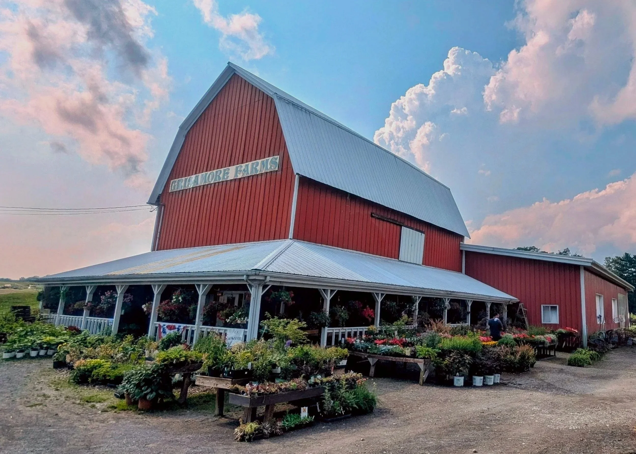 Red barn with a blue metal roof, surrounded by potted plants and flowers outside, sky with clouds in background, sign reads 'GREGAMORE FARMS'.