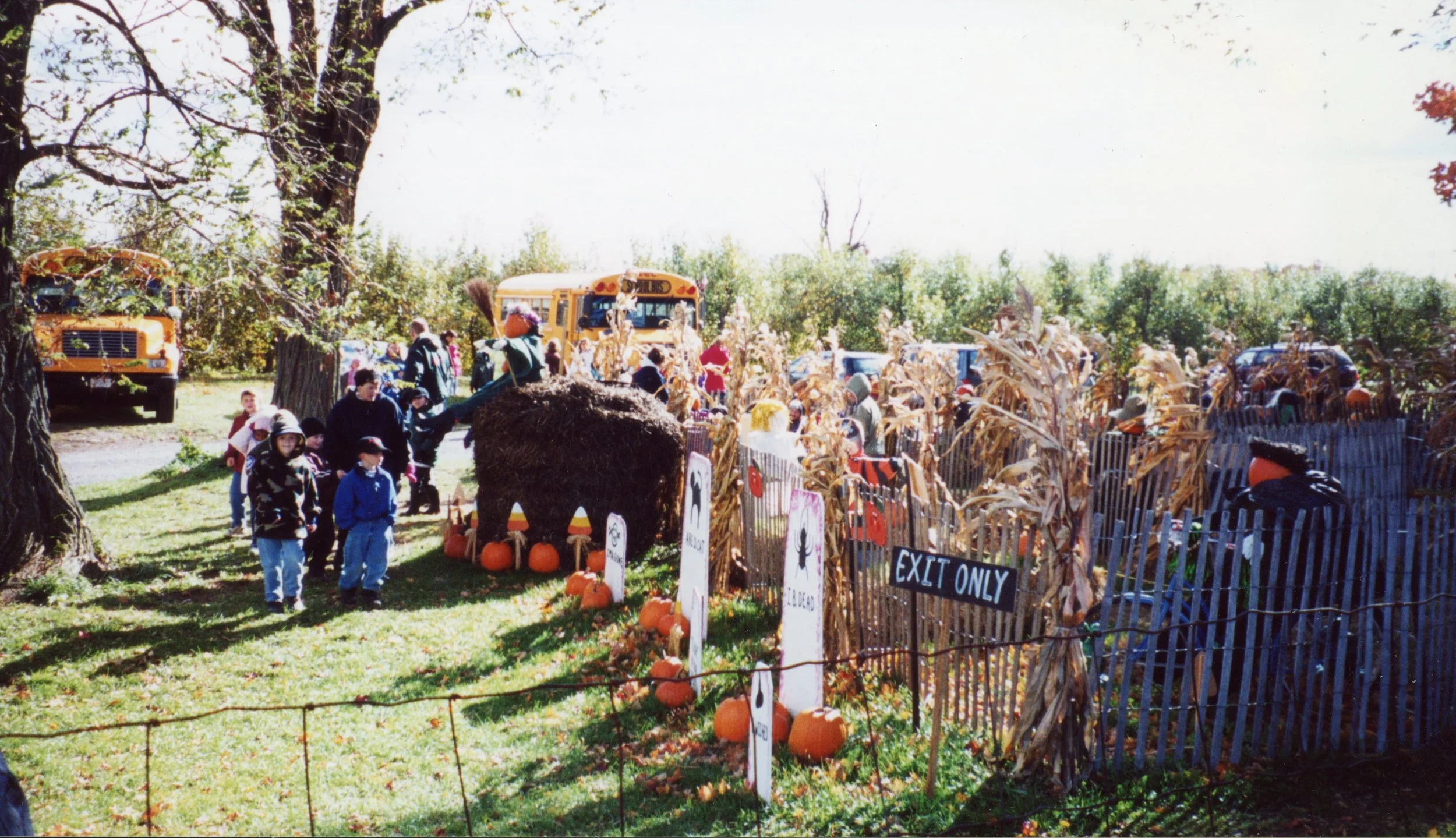 Children in line at a fall festival with pumpkin decorations, one bus in the background, and a pumpkin patch enclosed by fencing, surrounded by trees.