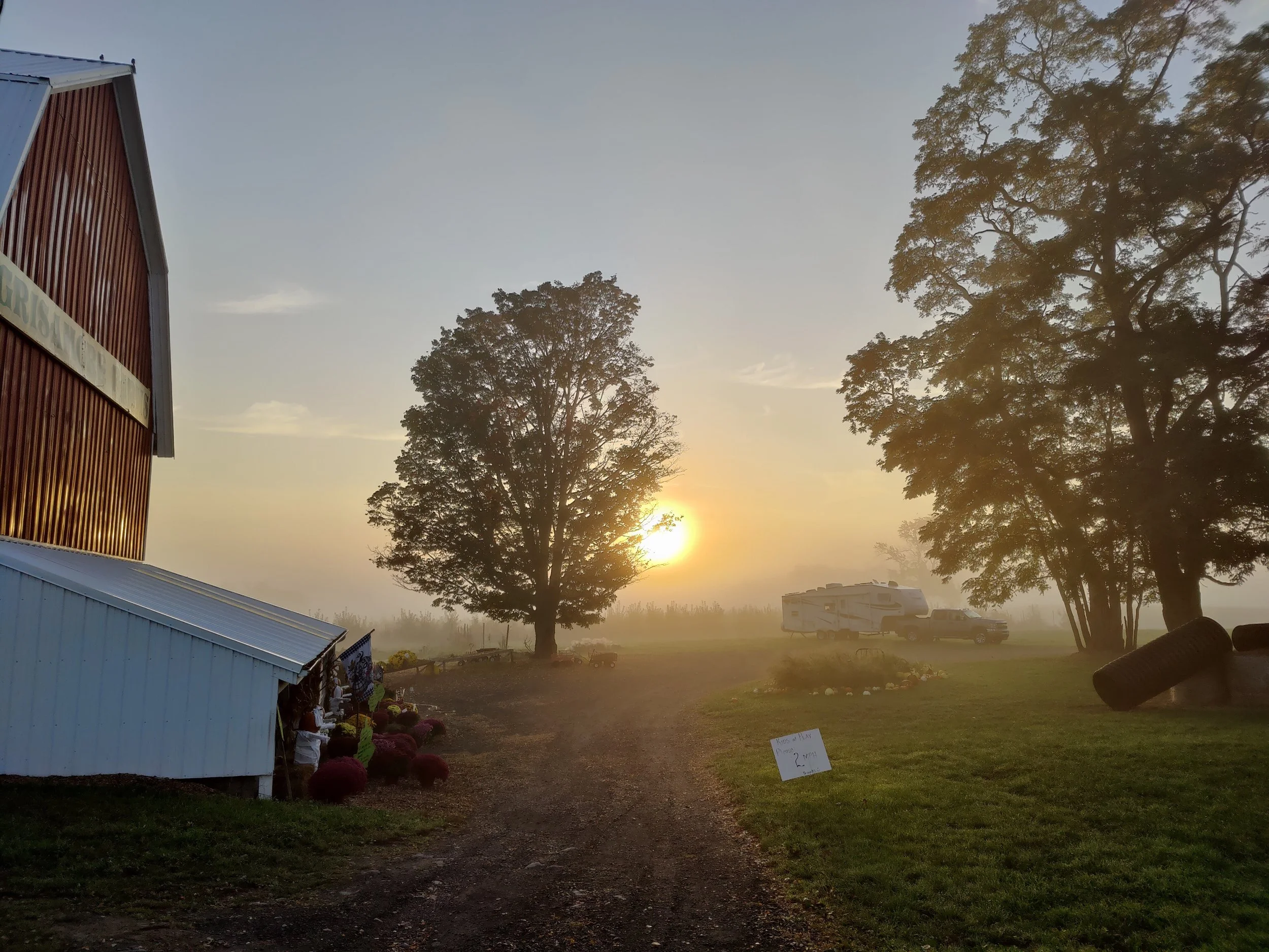 IMG_20211014_074234 1.jpg