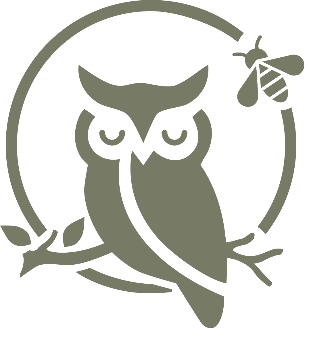 Green clipart sleeping owl on a branch with a circle around it and a bee.
