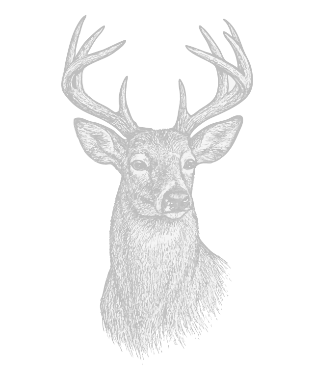 A detailed black and white illustration of a deer's head with large antlers against a black background.