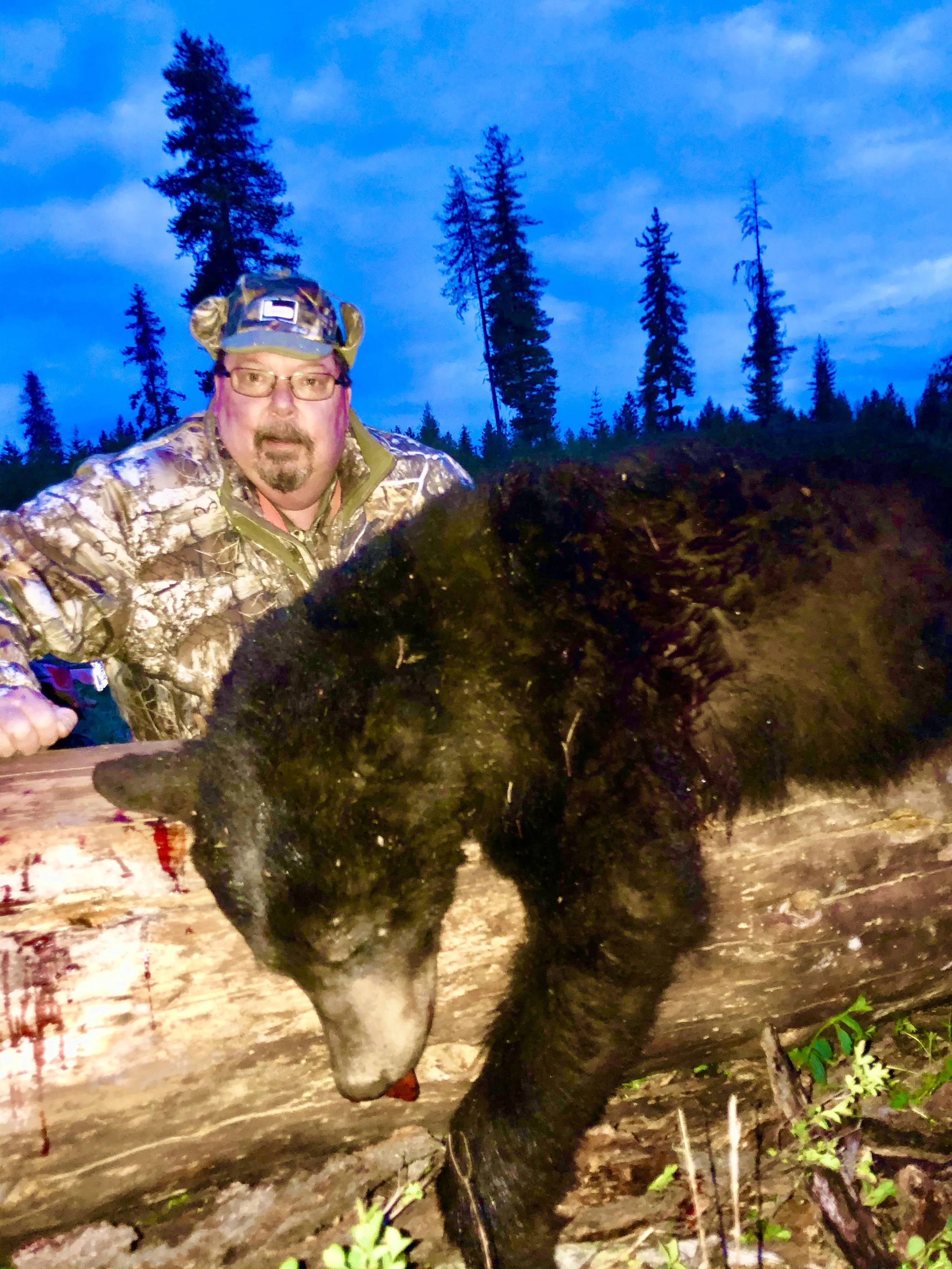 Man in camouflage clothing with a bear trap laid on a log in a forested outdoor setting.