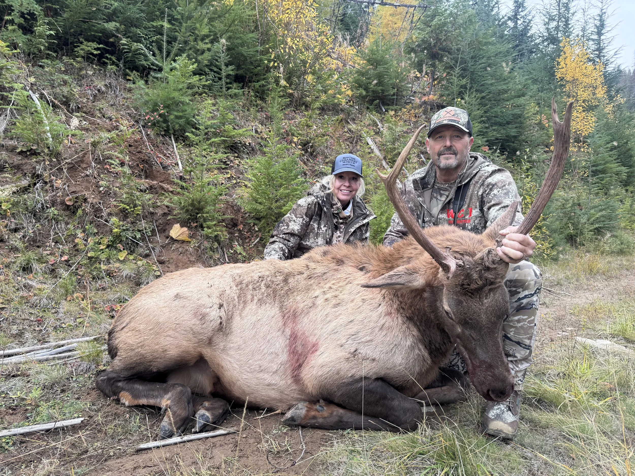 A man and a woman in camouflage clothing kneel beside a large elk with antlers, which they have hunted and are posing with outdoors in a forested area with trees and foliage.