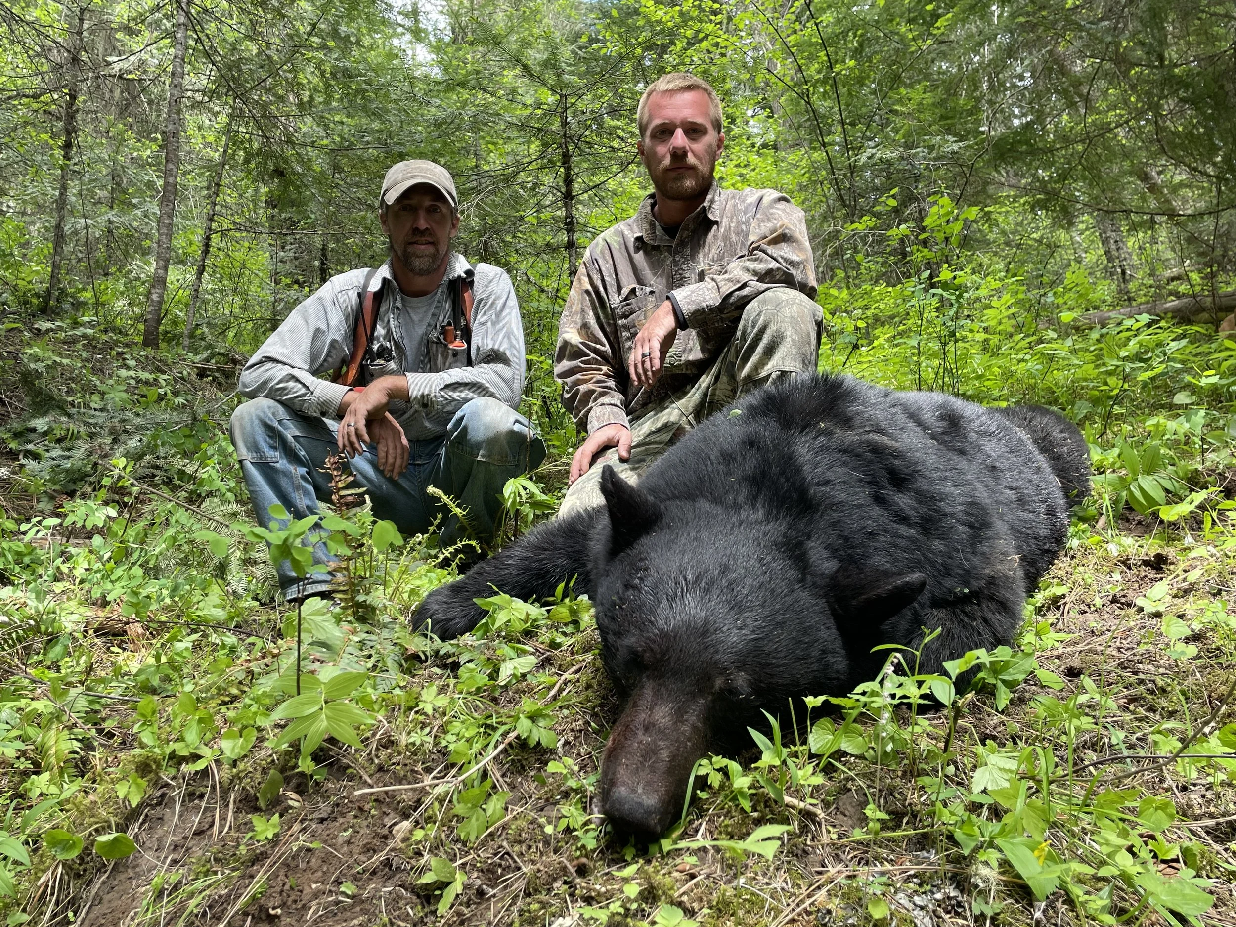 Two hunters kneel in a forest behind a large, black bear lying on the ground. The hunters are dressed in camouflage and outdoor clothing, with one wearing a cap. The forest is lush and green with dense foliage.