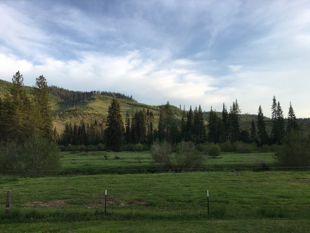 A scenic view of a grassy field with trees and rolling hills in the background under a partly cloudy sky.