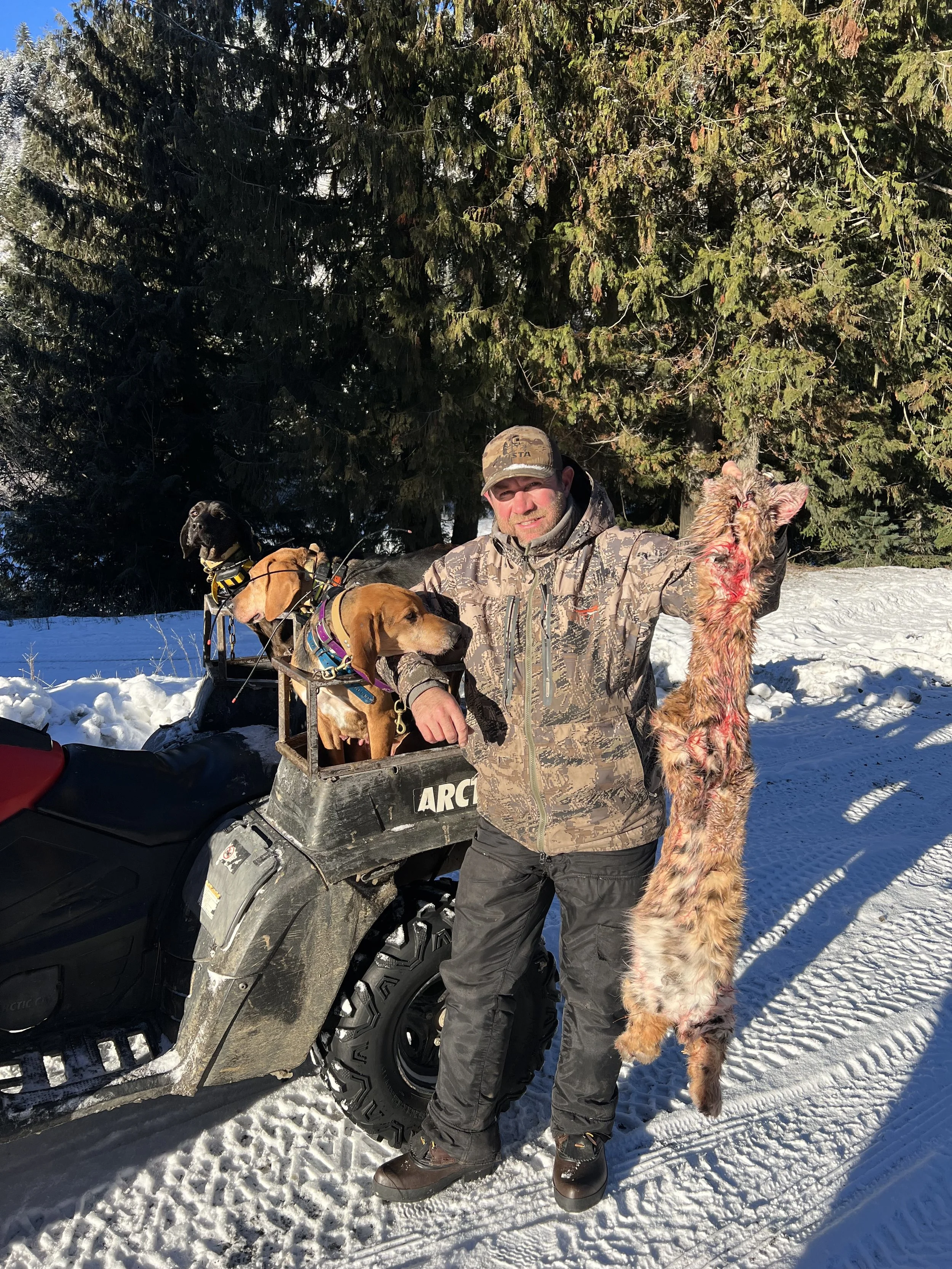 A man in camouflage clothing holding a bobcat, standing next to a snowmobile with two dogs in the cargo area, in a snowy forested area.