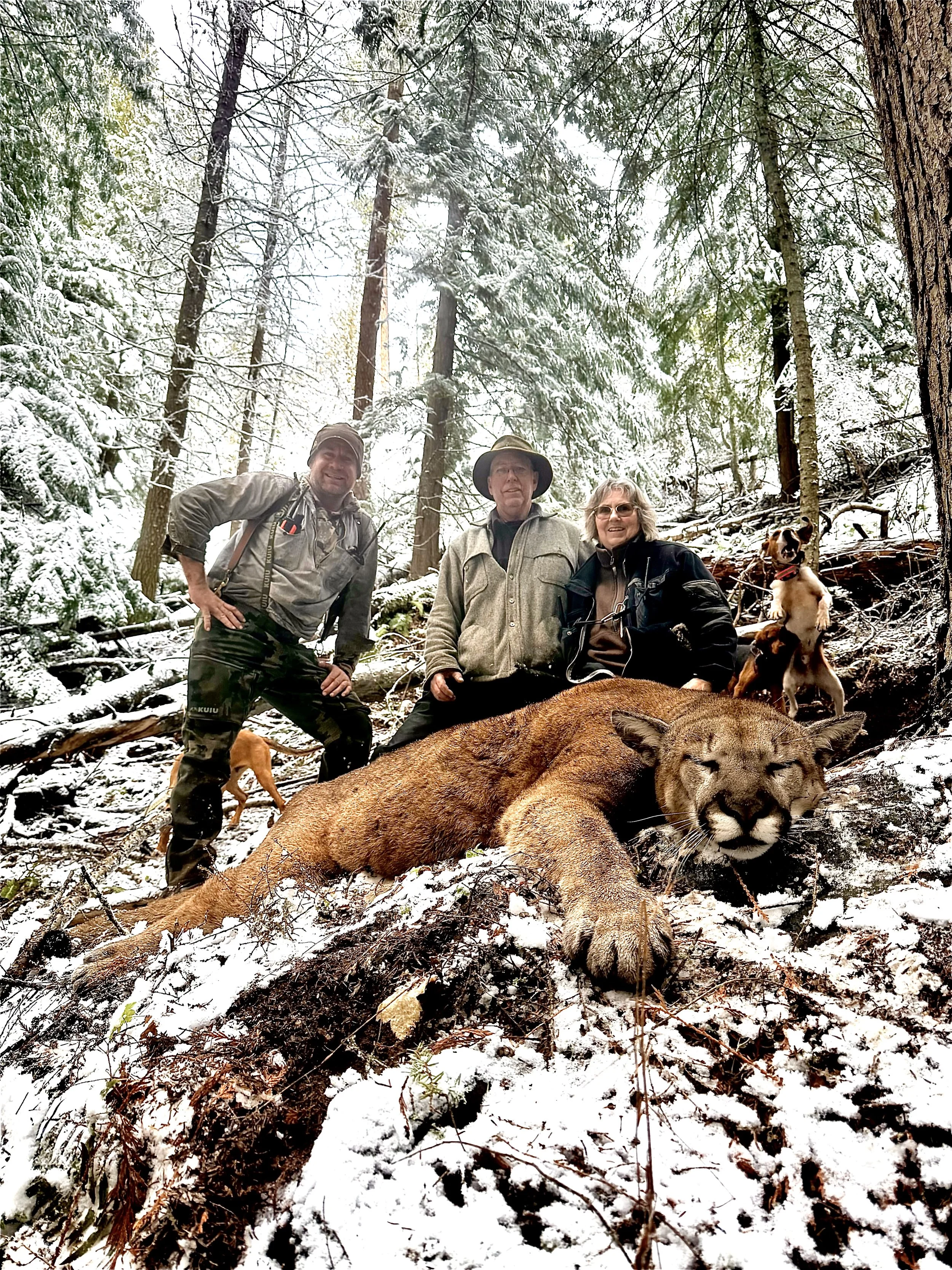 Three people with two dogs posing in a snowy forest with a deceased mountain lion in the foreground.