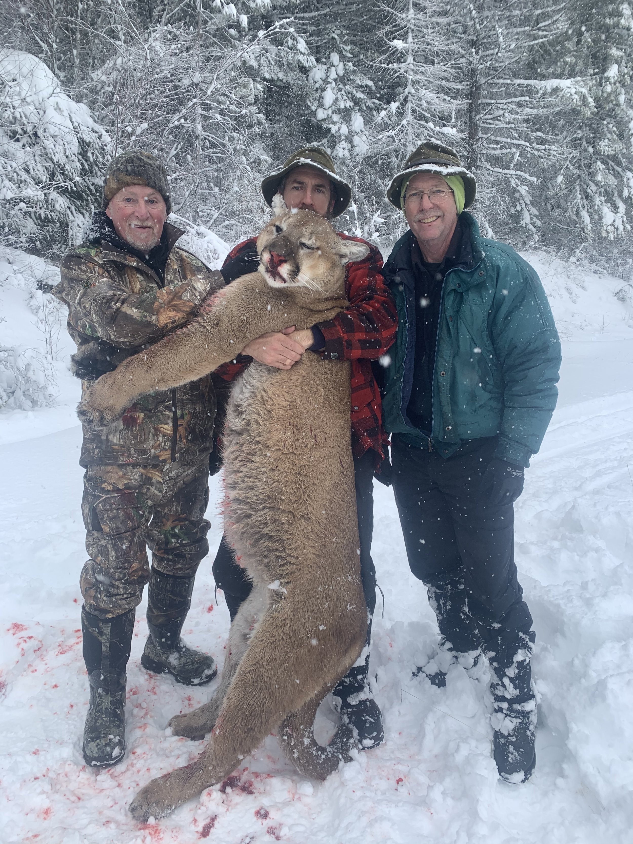 Three men in winter gear posing with a large mountain lion in a snowy forest.