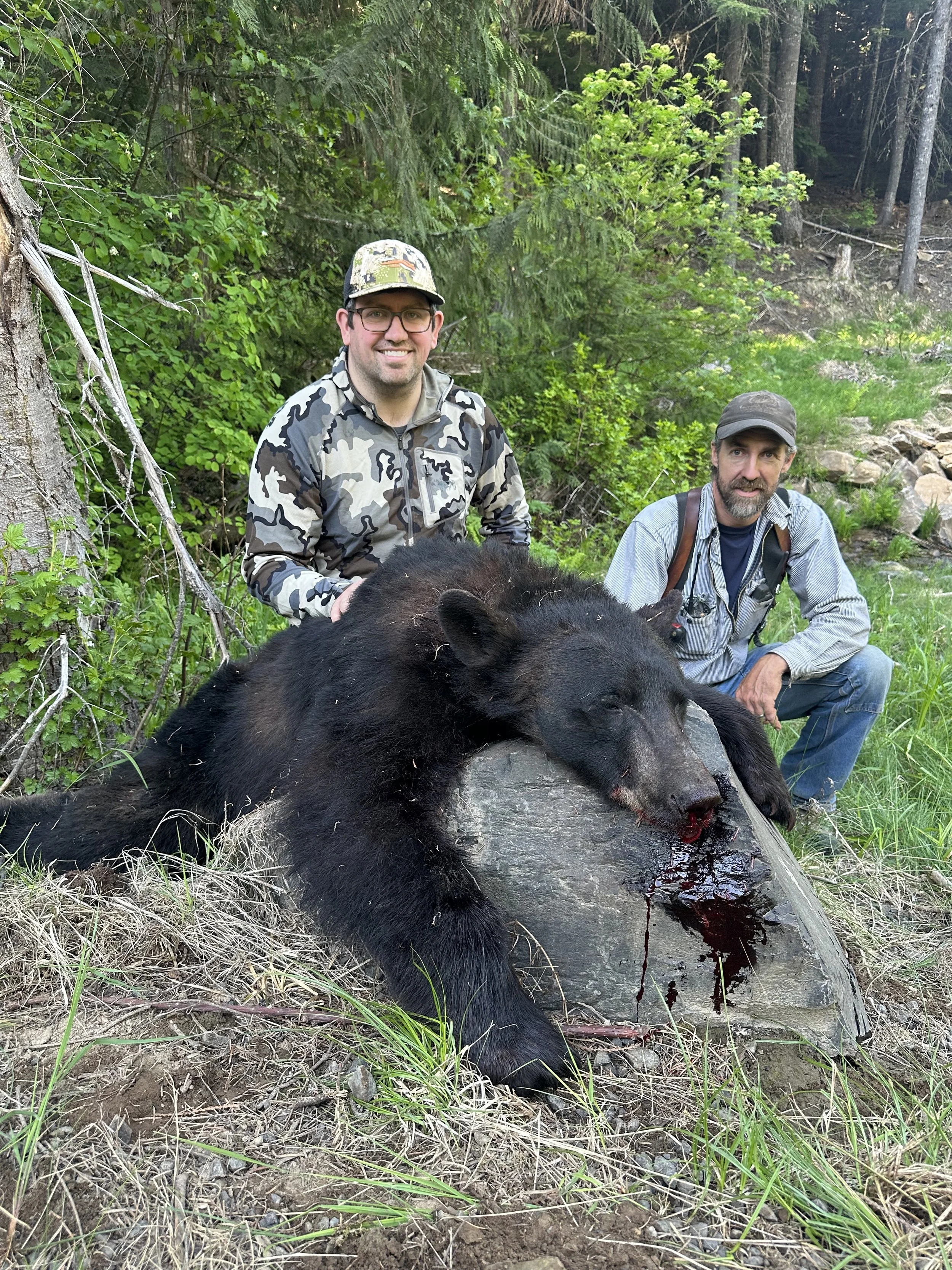 Two men in camouflage and outdoor gear pose behind a dead bear with a bloodied face, resting on a rock in a forested area.