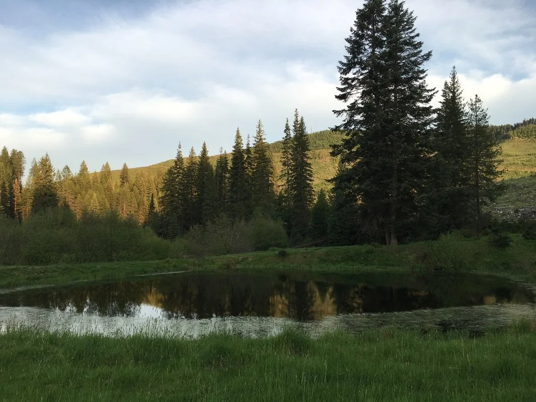 A serene landscape featuring a calm pond reflecting surrounding evergreen trees and a hillside in the distance, under a partly cloudy sky.