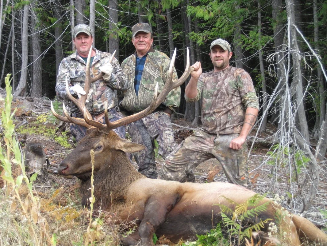 Three men in camouflage clothing posing with a large elk they have hunted, in a forest setting.