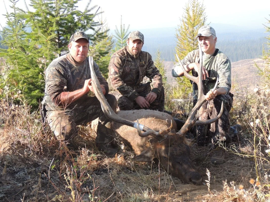Three hunters in camouflage and outdoor gear pose with a large elk they have hunted, displaying its antlers on a woodland hillside with trees and mountains in the background.