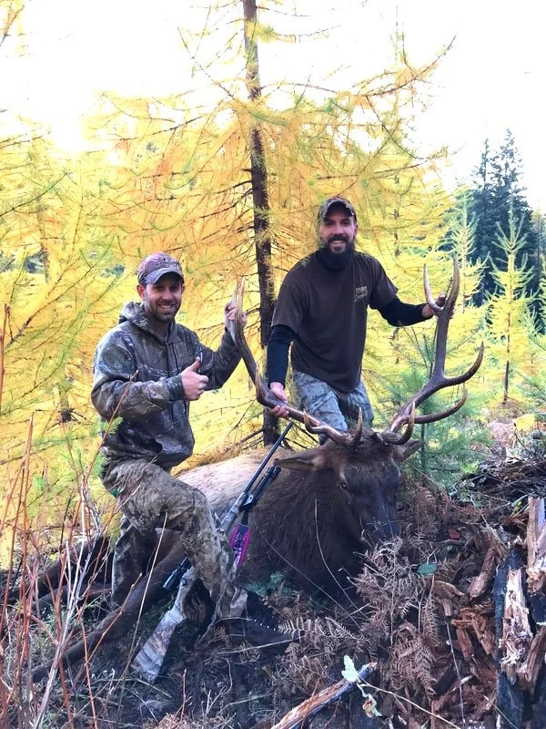 Two men posing with a large elk in a forest with yellow and green foliage, one giving a thumbs-up and the other holding the elk's antlers.
