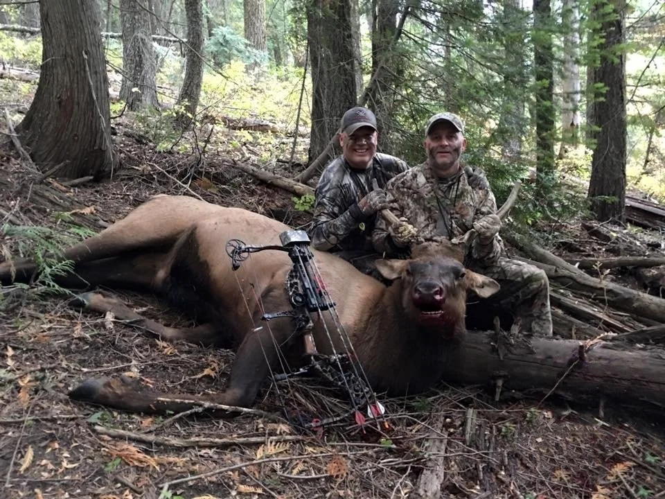 Two men in camouflage and outdoor clothing sitting on a fallen log behind a large, recently shot wild boar in a forest, with a bow and arrow resting on the boar's side.