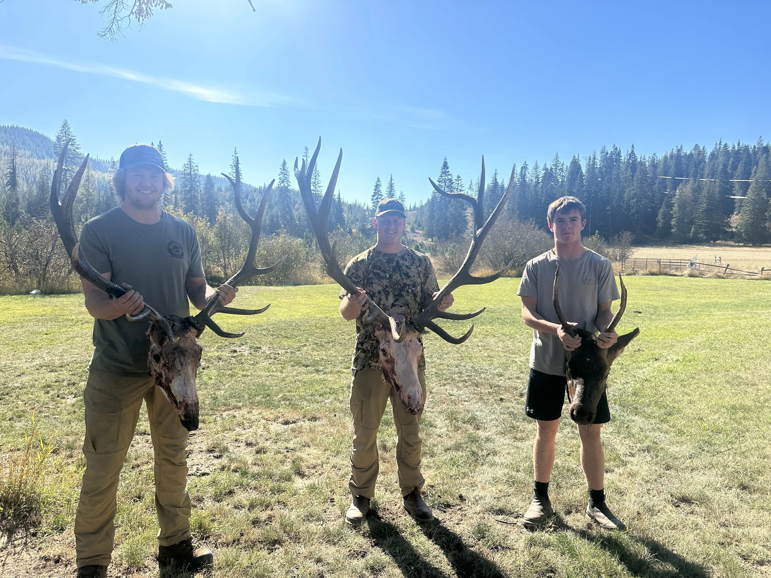 Three young men standing on grass field with trees and a fence in background, each holding large deer antlers with mounted heads.