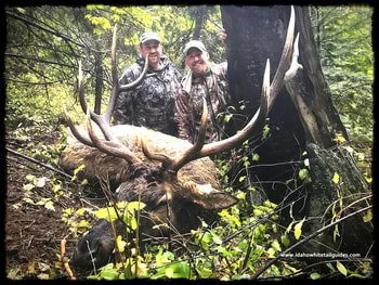 Two hunters in camouflage standing behind a large harvested deer with antlers, in a forested area.