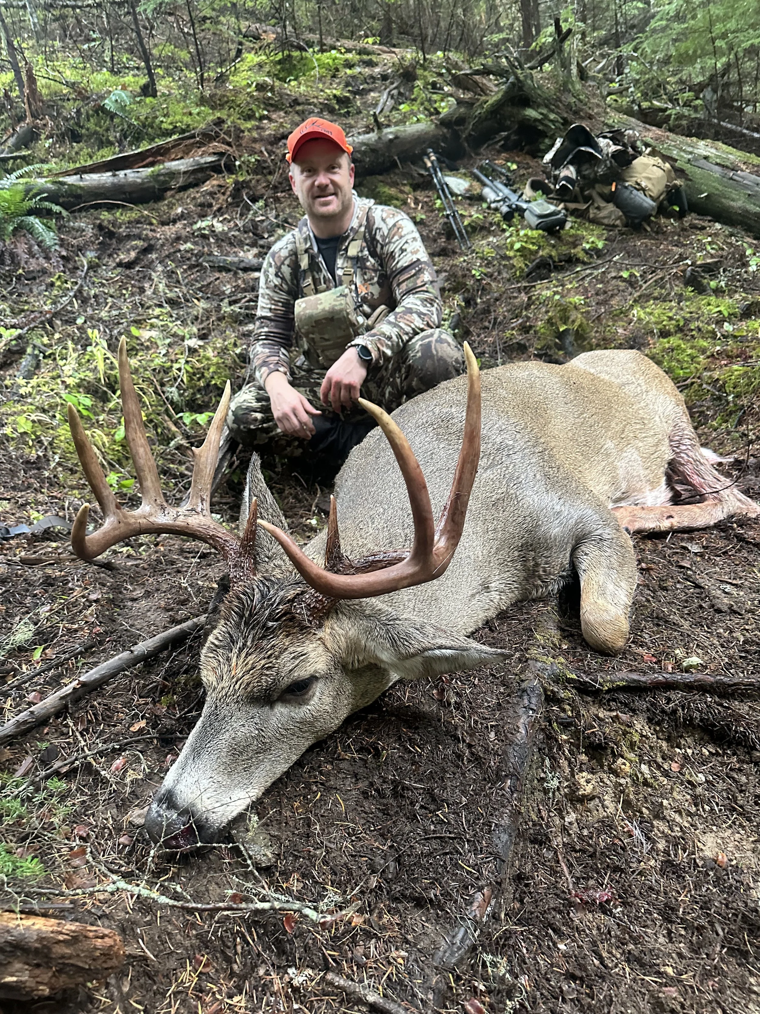A man dressed in camouflage and an orange cap, sitting next to a dead deer with large antlers in a forest.