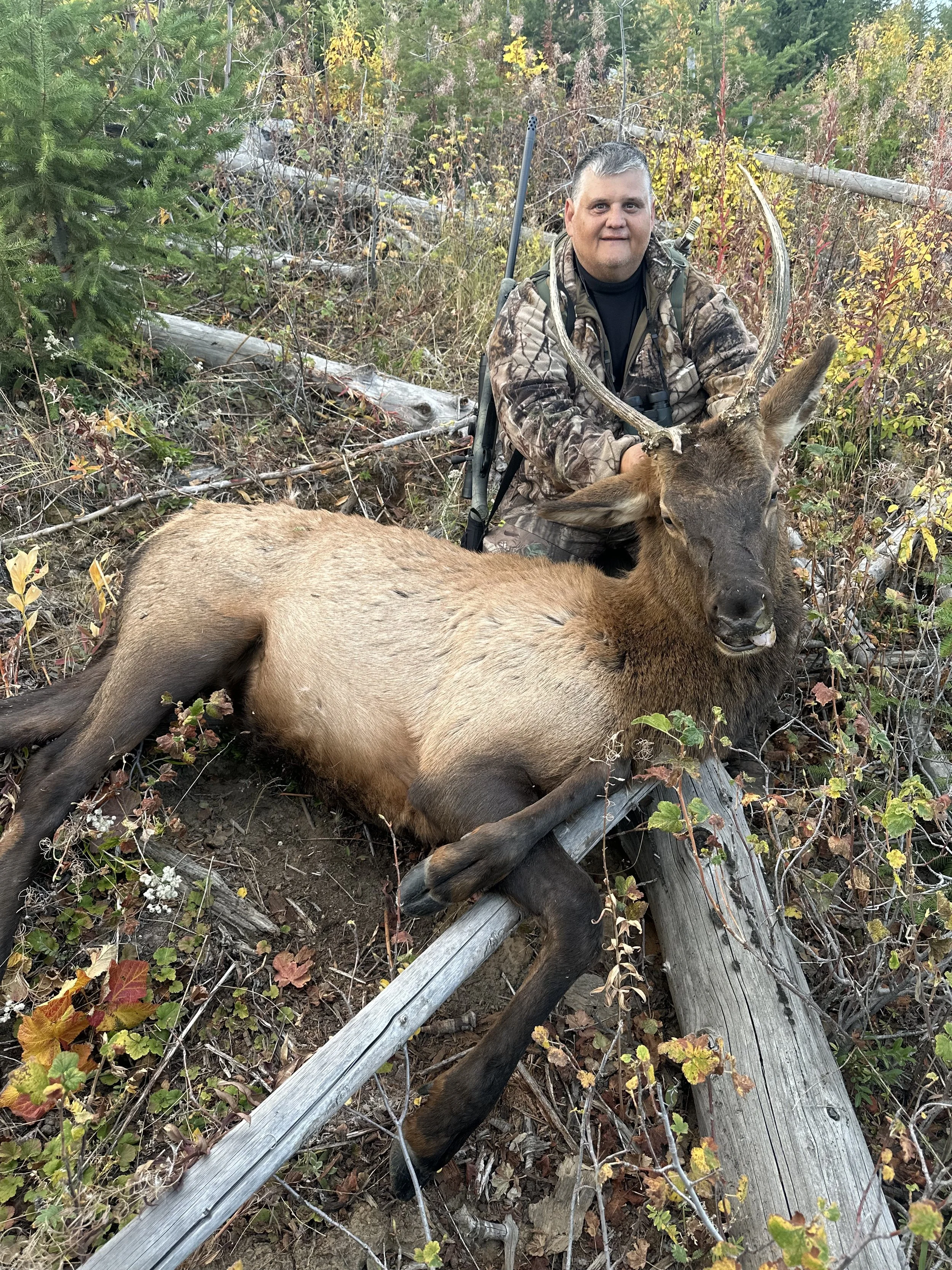 A man in camouflage clothing kneels next to a dead elk with large antlers lying on the ground in a forested area with trees and bushes.