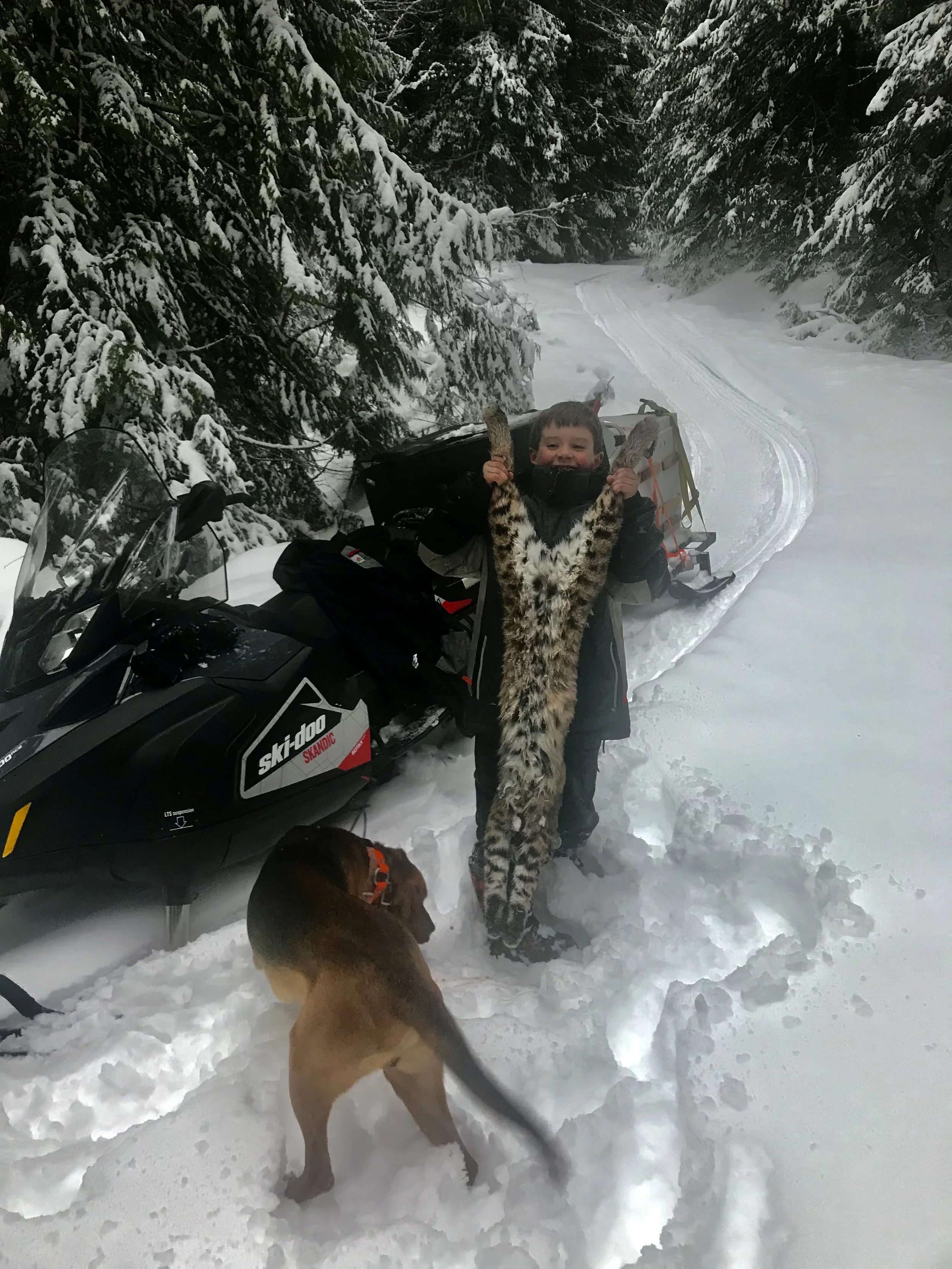 A boy holding a large dead wildcat in a snowy forest with a snowmobile nearby and a dog standing in the snow.