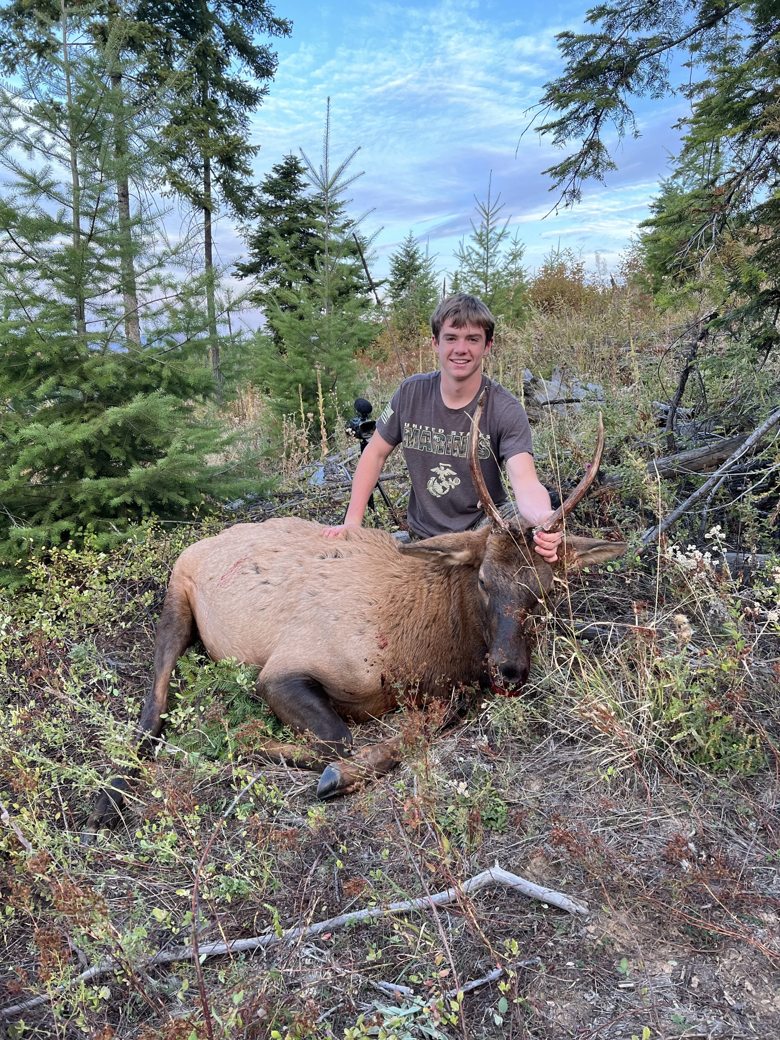 A young man in a forested area is kneeling beside a large dead elk with antlers. The young man is smiling and holding one of the elk's antlers. The background features pine trees and a blue sky with some clouds.