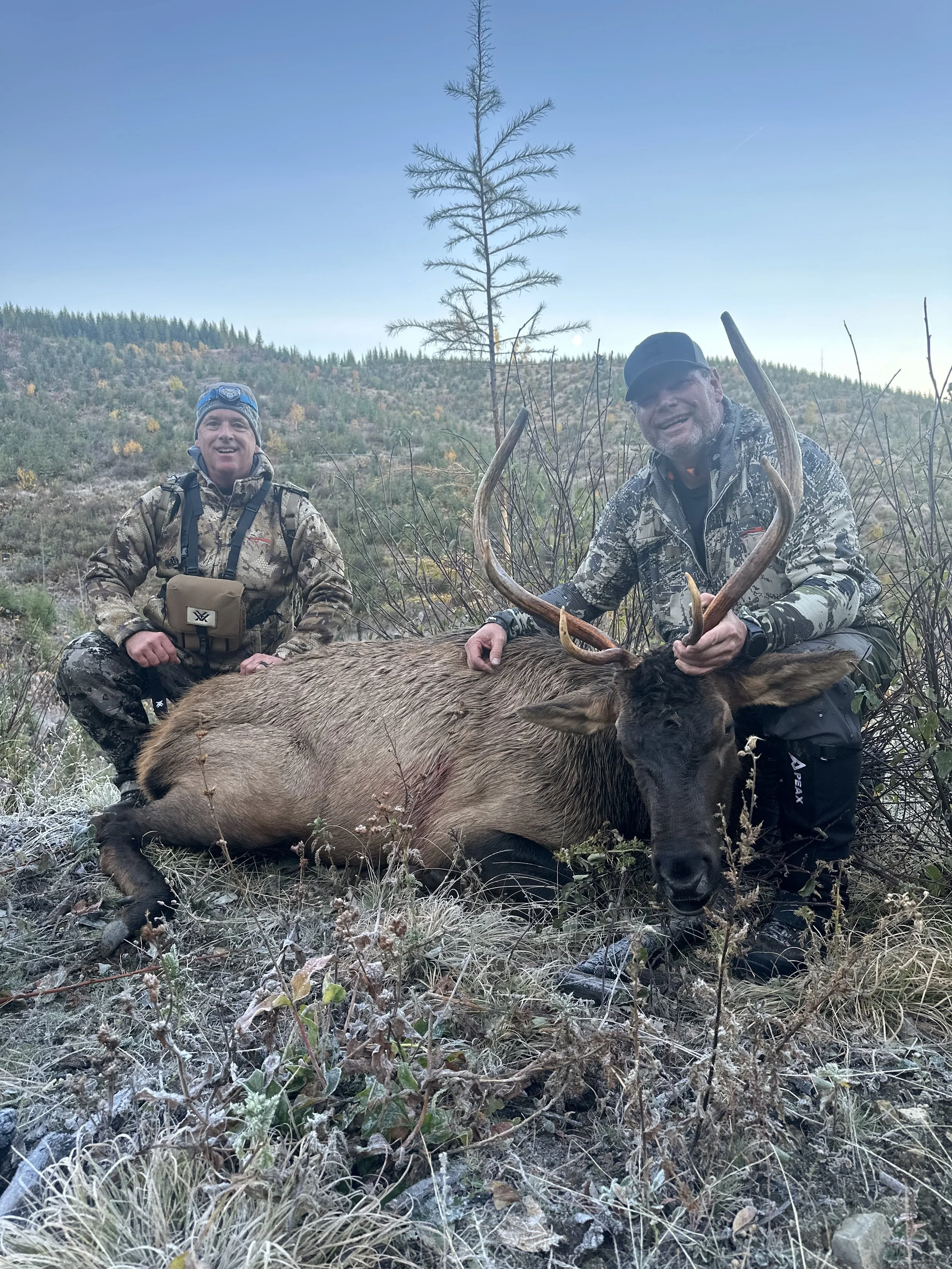 Two hunters kneel beside a large elk they have hunted, with one holding its antlers, in a natural outdoor landscape with trees and a clear sky.