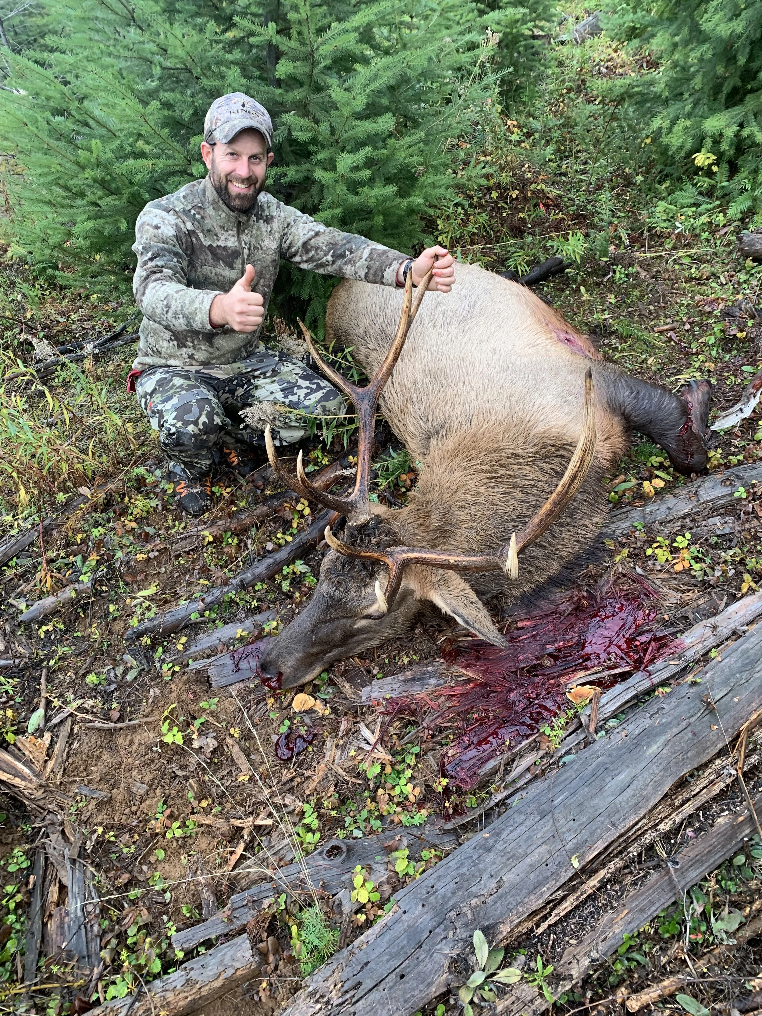 A man in camouflage clothing squatting next to a dead elk with large antlers amid a forest, giving a thumbs-up, with blood on the ground.