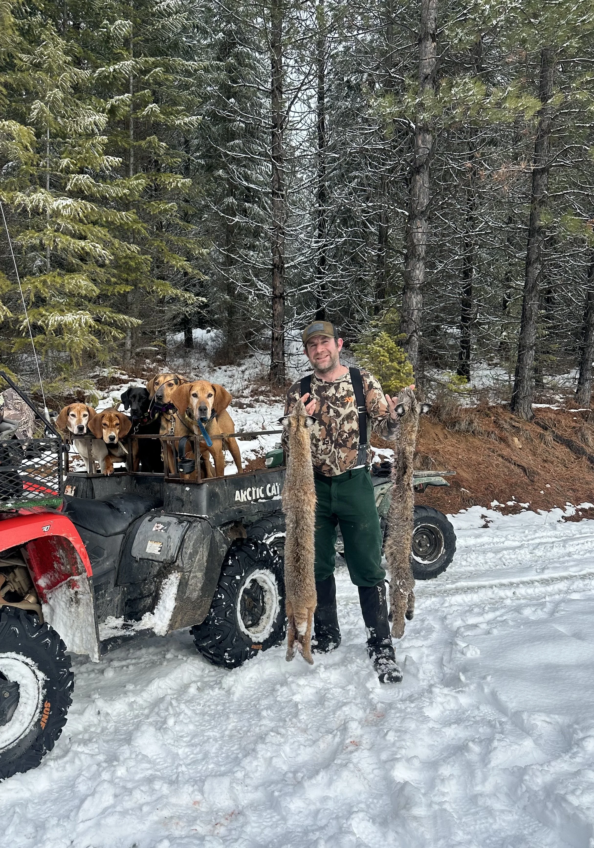 A man holding two hunting raccoon pelts standing in the snow in front of an ATV with several dogs in the back, surrounded by a snowy forest.