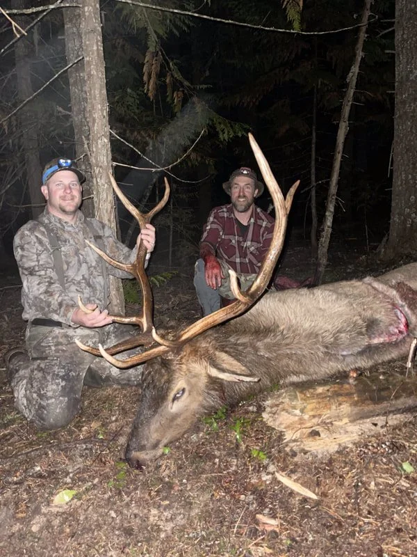 Two hunters in camouflage and plaid shirts pose with a large dead elk lying on the forest ground, showing off its impressive antlers.