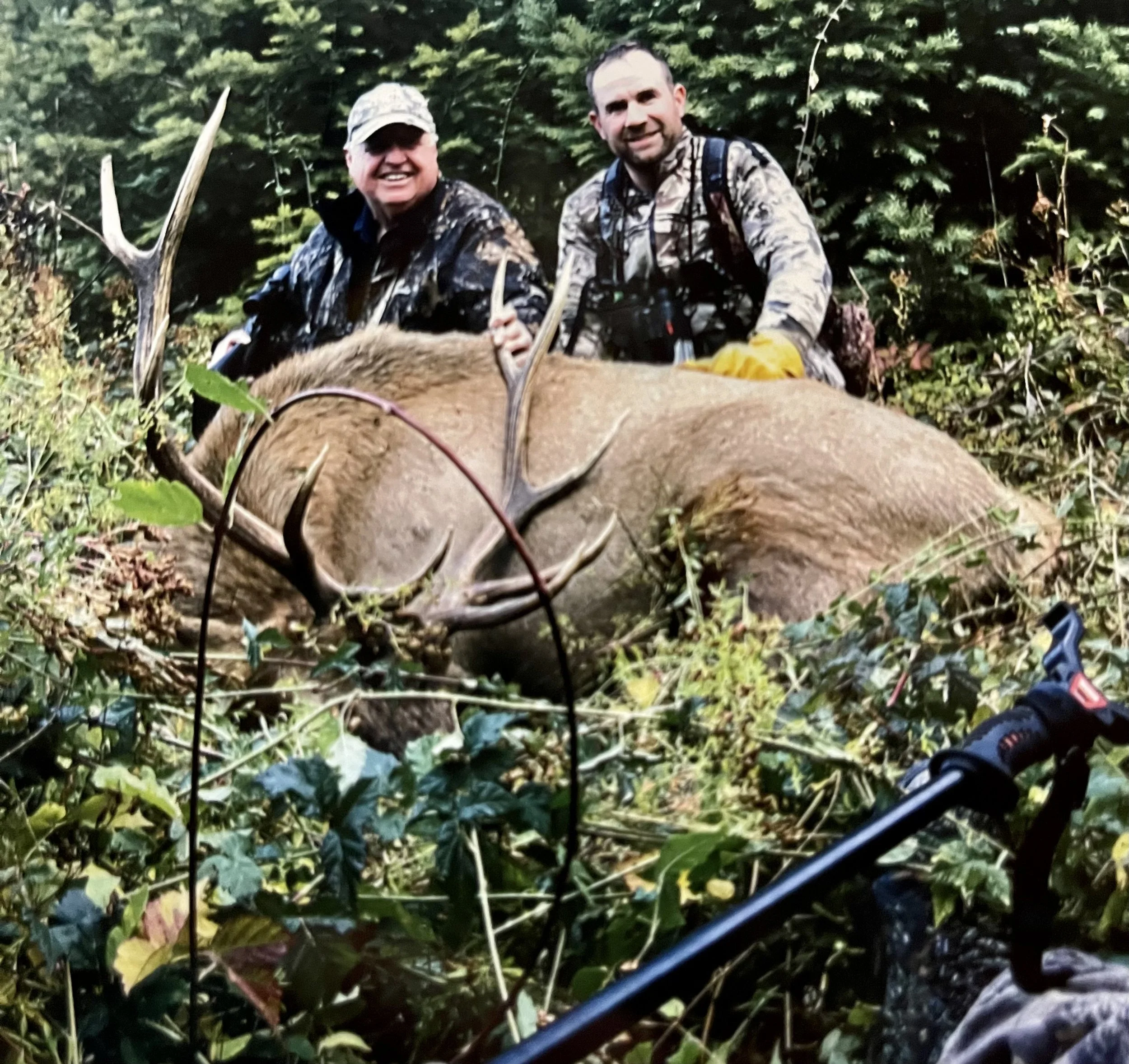 Two hunters kneel next to a large deer with antlers, lying on the forest ground surrounded by foliage, after a successful hunt.