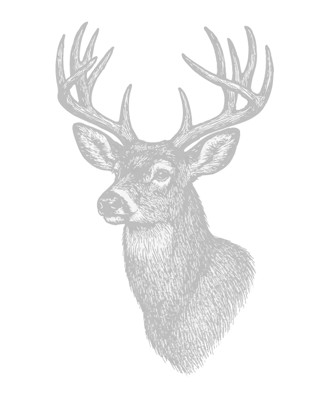 Illustration of a deer with large antlers on a black background.