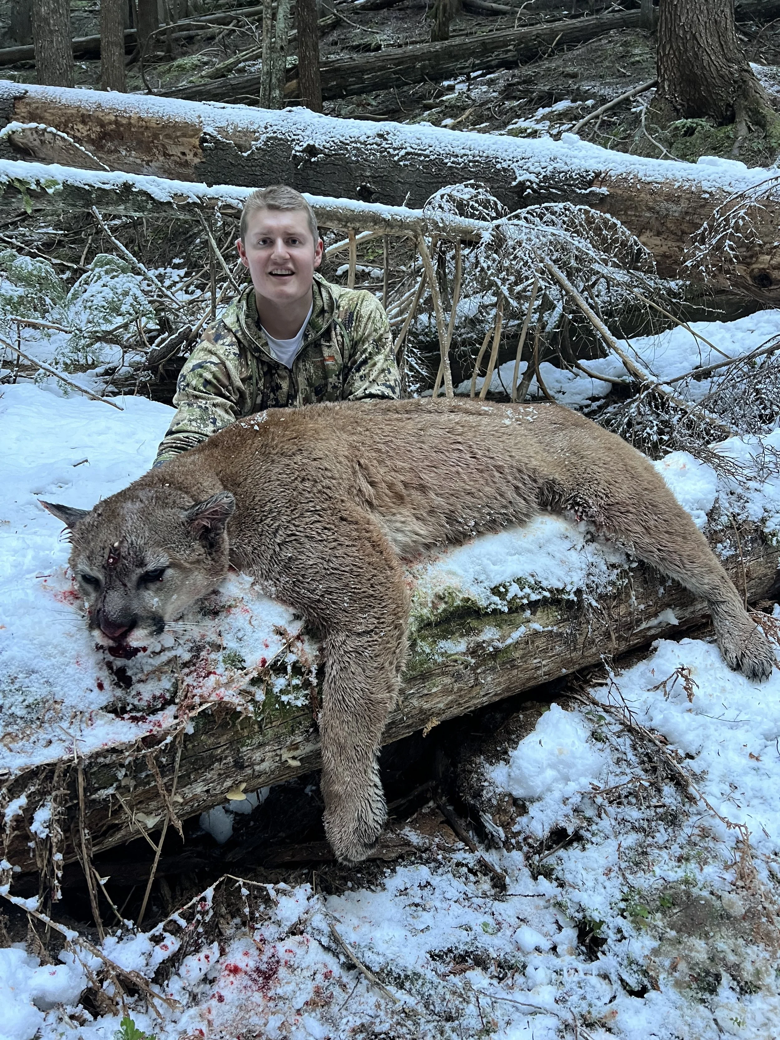 A young man in camouflage clothing kneels behind a large mountain lion lying on a snow-covered log in a forest. The mountain lion appears to be recently killed, with visible blood on its face and surrounding snow.