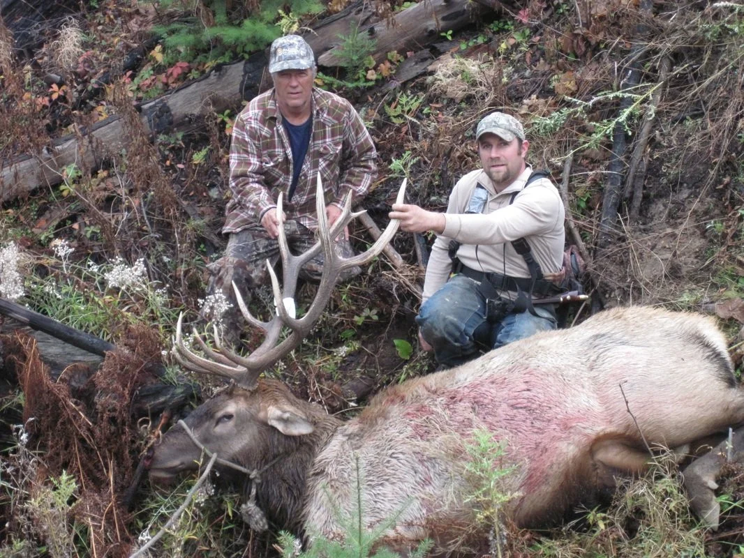 Two men in outdoor clothing, one holding a large antler, kneeling beside a large, elk with a significant wound, in a forested area with fallen logs and plants.
