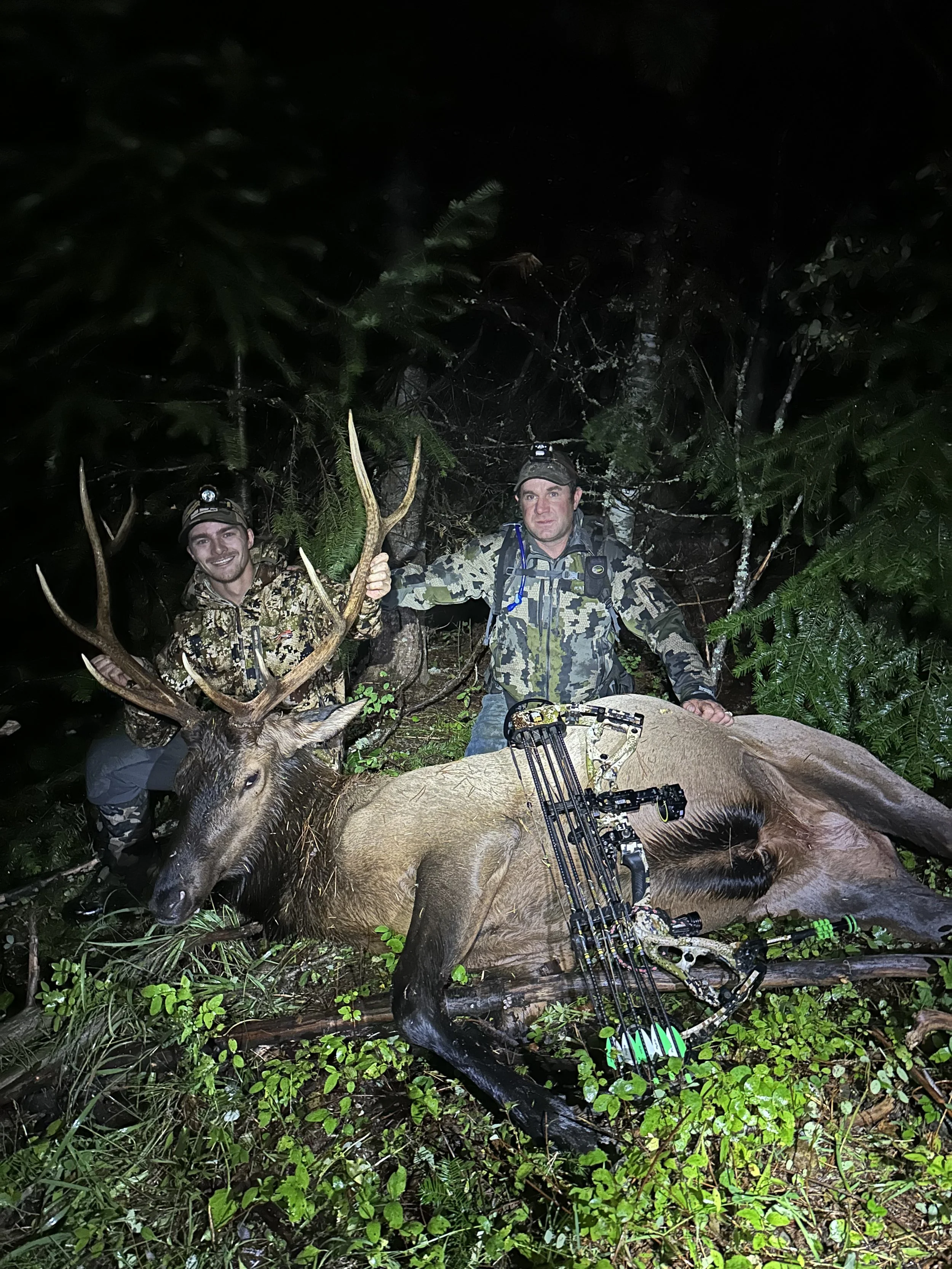Two hunters in camouflage clothing kneel next to a large elk they have hunted, with one holding its antlers and the other resting his hand on the elk's back, in a forested area at night.